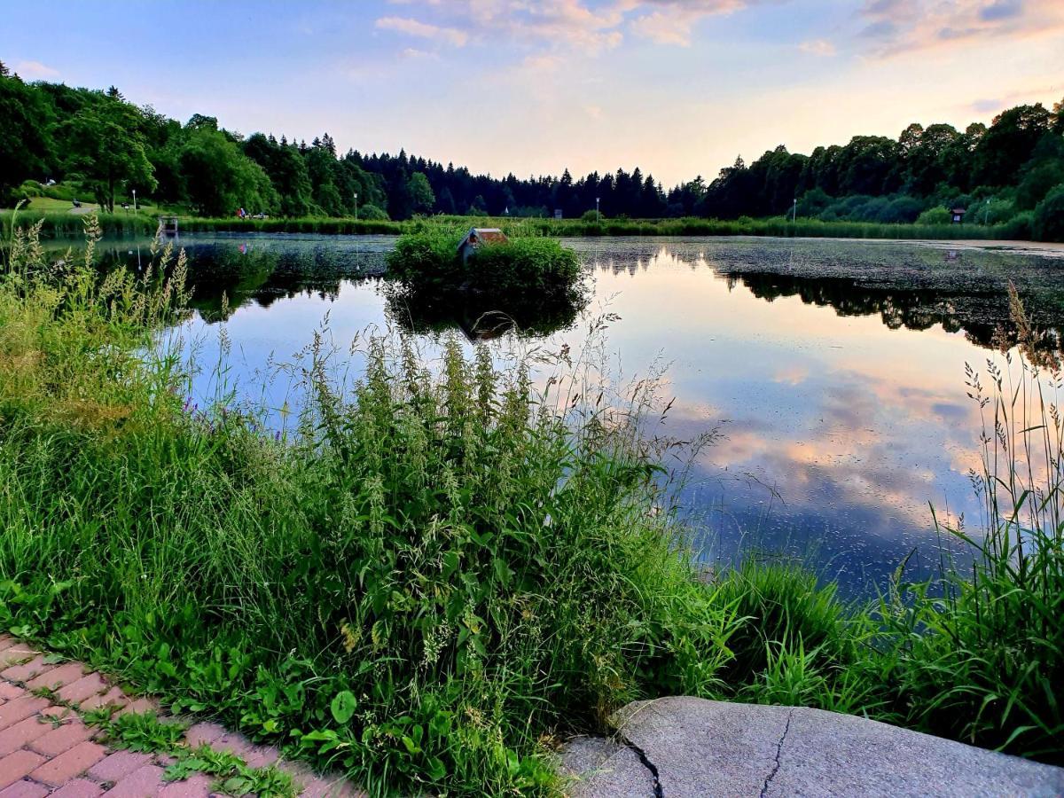 Herzstueck Гослар Экстерьер фото